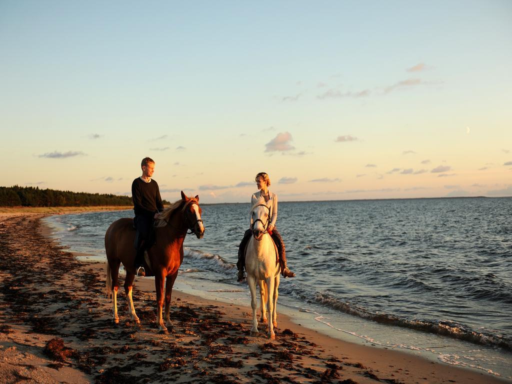 Roosta Holiday Village Noarootsi Bagian luar foto